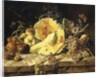 A Still Life with fruit, nuts and insects, 1835 by Leopold Zinnogger