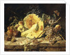 A Still Life with fruit, nuts and insects, 1835 by Leopold Zinnogger