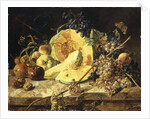 A Still Life with fruit, nuts and insects, 1835 by Leopold Zinnogger