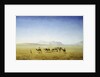 An Arab Caravan in the Desert by Henrik Ankarcrona
