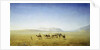 An Arab Caravan in the Desert by Henrik Ankarcrona