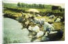 Laundry Women in the Trappes Region by Albert Desire