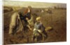 The Potato Harvest by Herman Hartwich