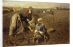 The Potato Harvest by Herman Hartwich