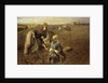 The Potato Harvest by Herman Hartwich