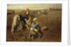 The Potato Harvest by Herman Hartwich