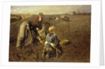 The Potato Harvest by Herman Hartwich