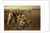 The Potato Harvest by Herman Hartwich