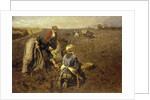 The Potato Harvest by Herman Hartwich