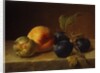 A Peach and Plums on a Marble Ledge, 1860 by Johann Wilhelm Preyer