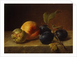 A Peach and Plums on a Marble Ledge, 1860 by Johann Wilhelm Preyer
