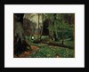 The Woodland Path by Hans Andersen Brendekilde