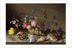 Flowers, shells and insects on a stone ledge by Balthasar van der Ast