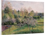 Apple Trees in Blossom, Eragny, 1895 by Camille Pissarro