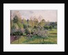 Apple Trees in Blossom, Eragny, 1895 by Camille Pissarro