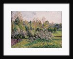 Apple Trees in Blossom, Eragny, 1895 by Camille Pissarro