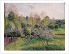 Apple Trees in Blossom, Eragny, 1895 by Camille Pissarro