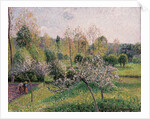 Apple Trees in Blossom, Eragny, 1895 by Camille Pissarro