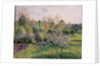 Apple Trees in Blossom, Eragny, 1895 by Camille Pissarro