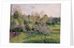 Apple Trees in Blossom, Eragny, 1895 by Camille Pissarro