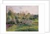 Apple Trees in Blossom, Eragny, 1895 by Camille Pissarro
