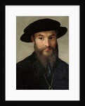 Portrait of a bearded man by Parmigianino