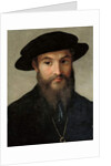 Portrait of a bearded man by Parmigianino