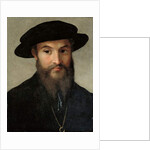 Portrait of a bearded man by Parmigianino