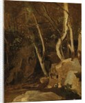 At Civita Castellana, Wooded Rocks, 1825-28 by Jean Baptiste Camille Corot