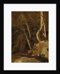 At Civita Castellana, Wooded Rocks, 1825-28 by Jean Baptiste Camille Corot
