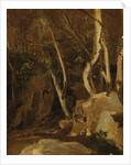 At Civita Castellana, Wooded Rocks, 1825-28 by Jean Baptiste Camille Corot