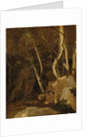 At Civita Castellana, Wooded Rocks, 1825-28 by Jean Baptiste Camille Corot