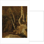 At Civita Castellana, Wooded Rocks, 1825-28 by Jean Baptiste Camille Corot