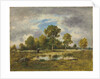La Mare aux Vipères, 1873 by Narcisse Virgile Diaz de la Pena
