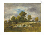 La Mare aux Vipères, 1873 by Narcisse Virgile Diaz de la Pena
