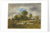 La Mare aux Vipères, 1873 by Narcisse Virgile Diaz de la Pena