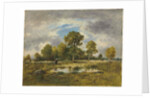 La Mare aux Vipères, 1873 by Narcisse Virgile Diaz de la Pena