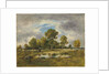 La Mare aux Vipères, 1873 by Narcisse Virgile Diaz de la Pena