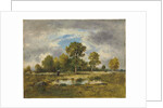 La Mare aux Vipères, 1873 by Narcisse Virgile Diaz de la Pena