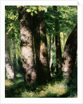 In the Forest of Fontainebleau by Pierre Auguste Renoir