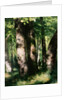 In the Forest of Fontainebleau by Pierre Auguste Renoir