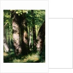 In the Forest of Fontainebleau by Pierre Auguste Renoir