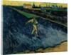 The Sower, 1888 by Vincent van Gogh