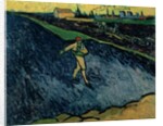 The Sower, 1888 by Vincent van Gogh