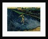 The Sower, 1888 by Vincent van Gogh