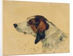 Chien de chasse, 1881 by Henri de Toulouse-Lautrec