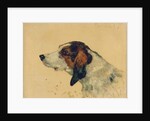 Chien de chasse, 1881 by Henri de Toulouse-Lautrec