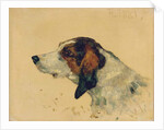 Chien de chasse, 1881 by Henri de Toulouse-Lautrec
