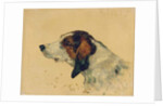 Chien de chasse, 1881 by Henri de Toulouse-Lautrec