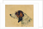 Chien de chasse, 1881 by Henri de Toulouse-Lautrec